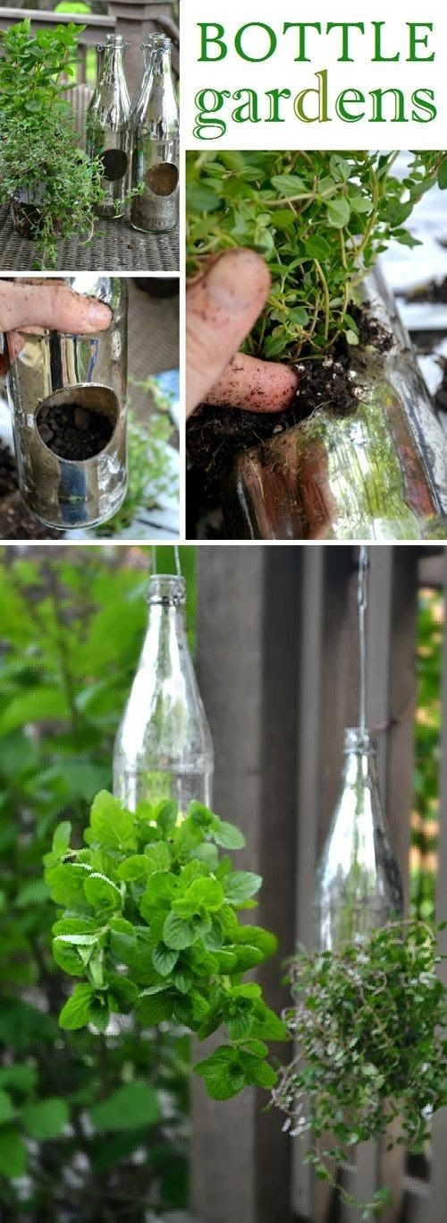 DIY Hanging Garden - Totally want to do this with...