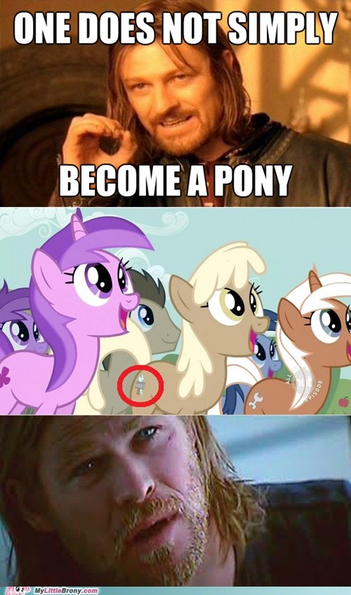 my little pony, friendship is magic, brony - One D...