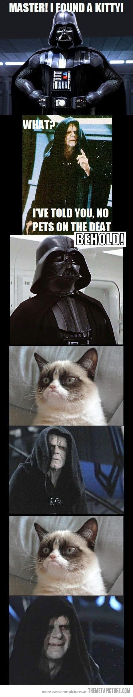 Star Wars meets grumpy cat