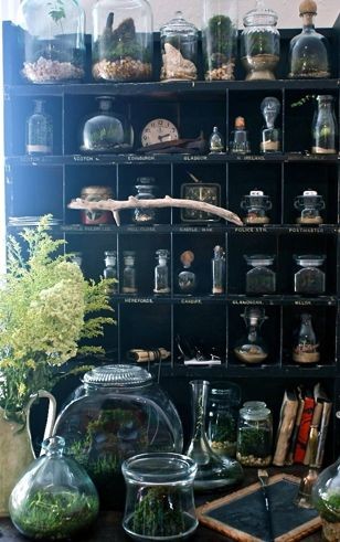What a beautiful use of bell jars, terrariums and...