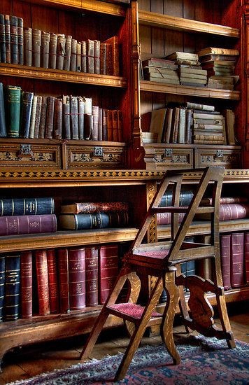 books shelves and ladders... i think i just like t...