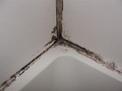 How to clean moldy caulking. This is AMAZING! I ha...