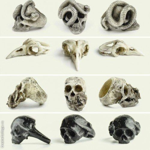 Macabre Gadgets Rings, skulls, horns, beak