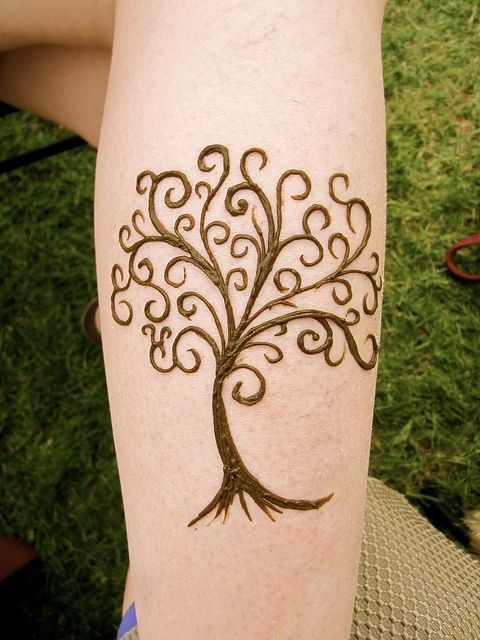 Tree of life | Flickr - Photo Sharing!