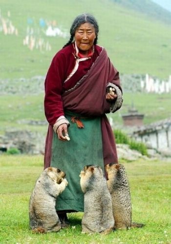 This Tibetan woman living in a farmer village high...