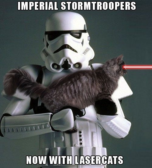 Imperial Storm Troopers: now with Laser Cats!