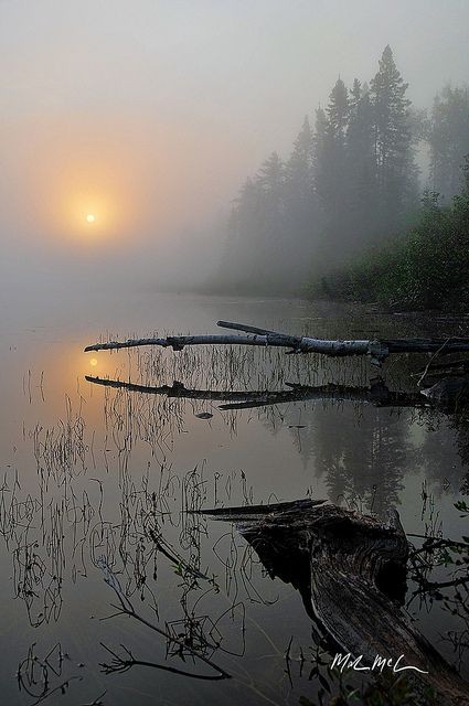 foggy september by Mark McCulloch on Flickr.