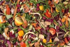 food-scraps-for-composting