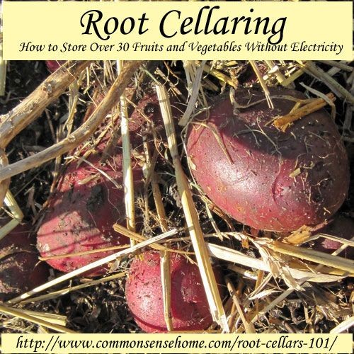 Root Cellars: The Low Cost Way to Store Over 30 Fr...