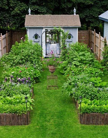 Raised planting beds and tiny potting shed create...