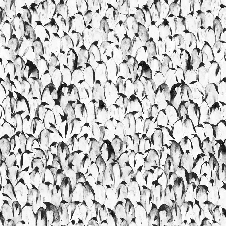 shutterstock:  Crowd of Penguins Illustration by k...