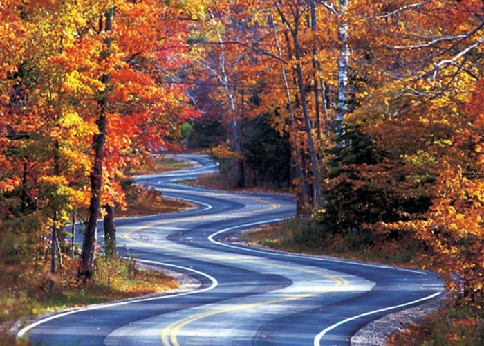 For a breathtaking drive, roll along scenic Highwa...