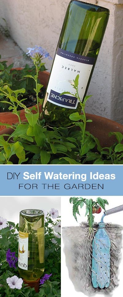 DIY Self Watering Ideas for the Garden!