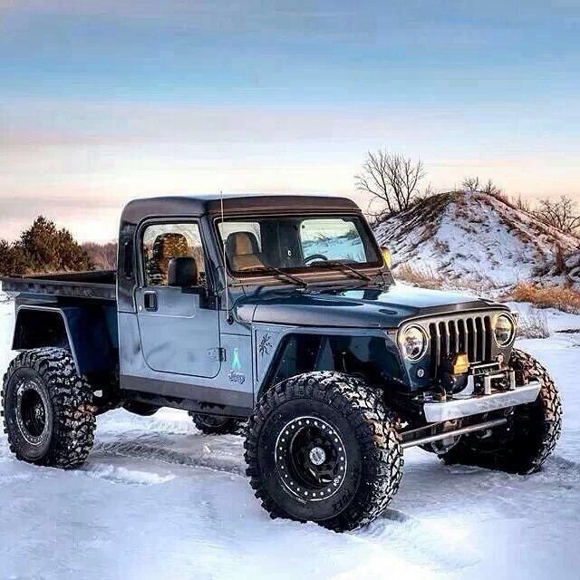 I could build this.  Section the jeep body and roo...