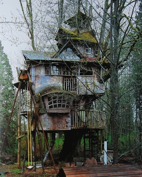 Wonderful Treehouse