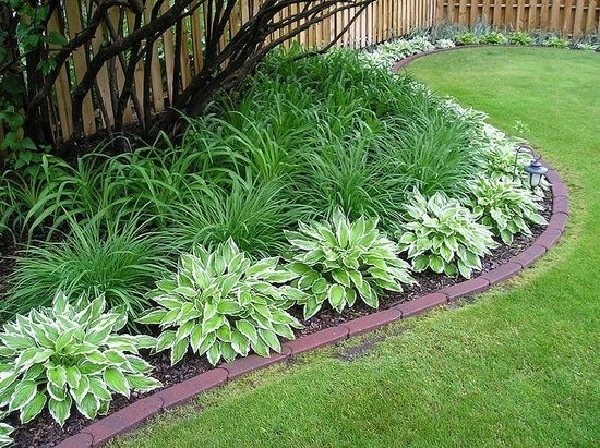 Daylilies and hostas! two hard to kill or in other...