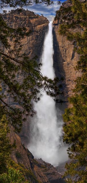 Yosemite Falls ~ Yosemite National Park, CA