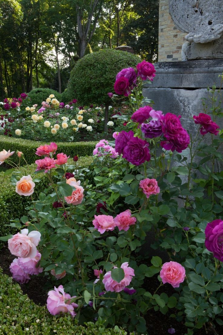 Carolyn Roehm's rose garden.