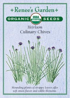 Organic Chives "Culinary" planting info
