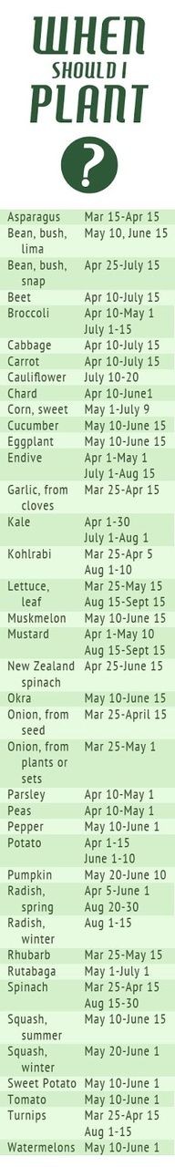 Planting Schedule for Gardening Vegetables