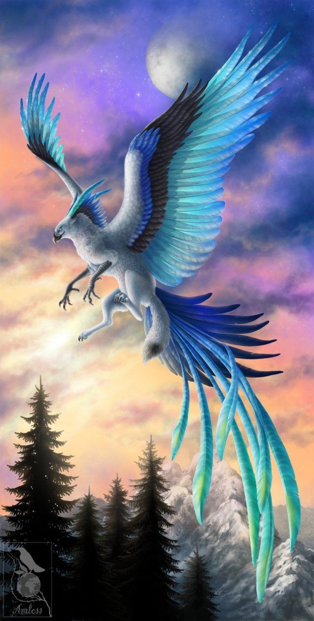 Wings of Ice by *Araless - a beautiful type of gri...
