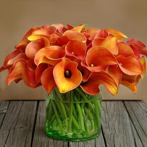 These lilies are gorgeous...Actually saw some for...