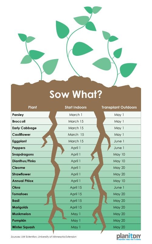 Use this chart to plan when to start seeds indoors...