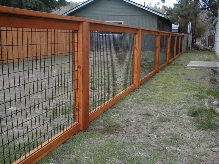 wire-garden-fence-ideas-ly1x175a.jpg (800×600...