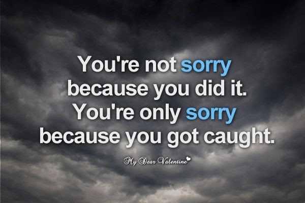 You're not sorry because you did it. You're only s...