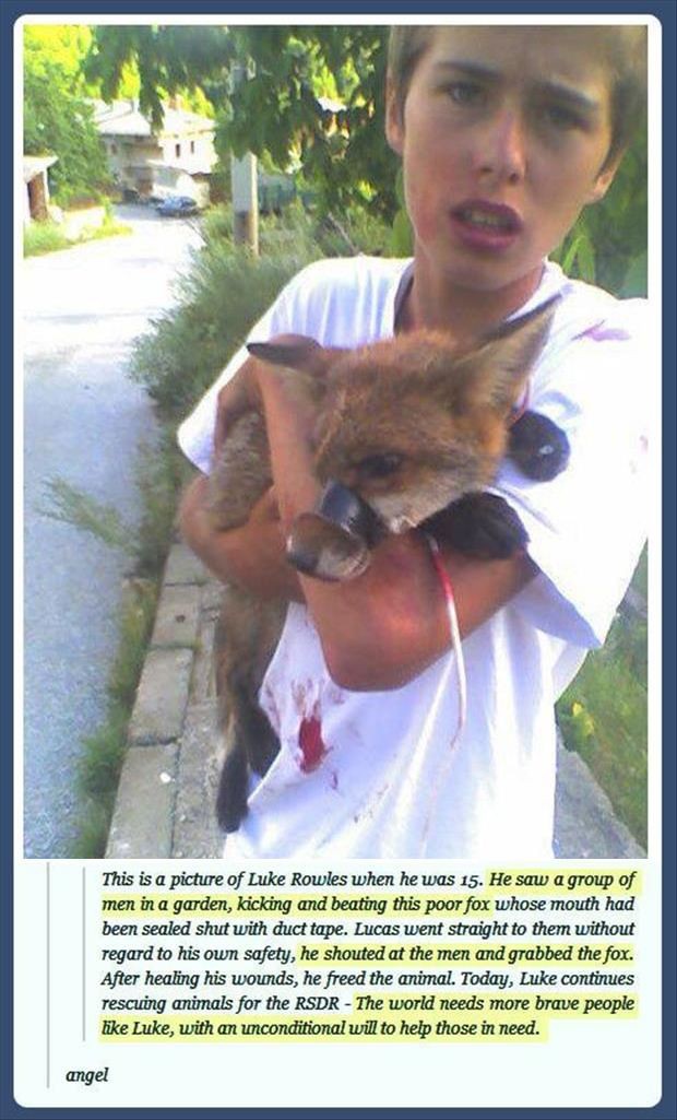 @ 15, Luke Rowles rescued a fox from a beating wit...