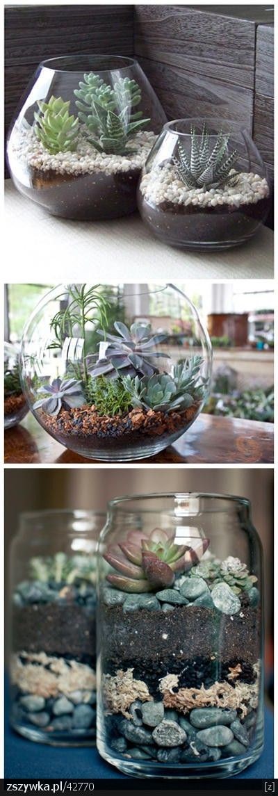 Find out how to make small succulent gardens that...