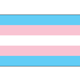 Transgender Flag Sticker - LGBT Transgender Pride...