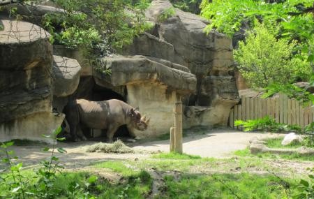 Cincinnati Zoo And Botanical Garden, Cincinnati #c...