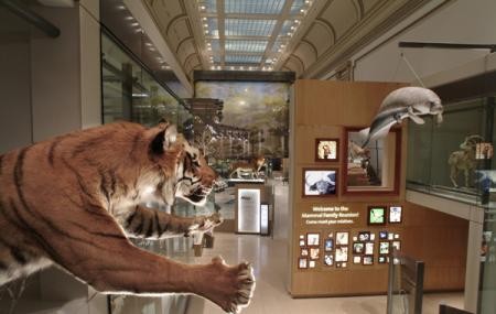 The Natural History Museum DC, is a part of the Sm...