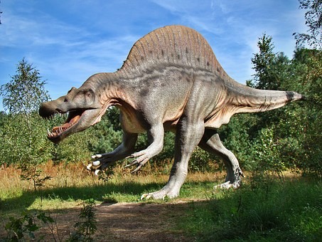 Dinosaurs are a diverse group of reptiles of the c...