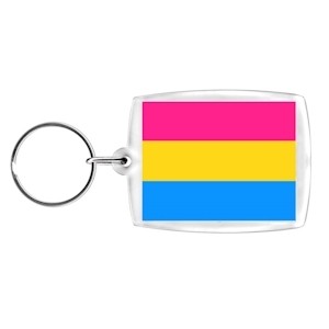 Pansexual / Pan Pride - Clip on Charm or Keychain...