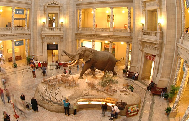 The National Museum of Natural History (NMNH) also...