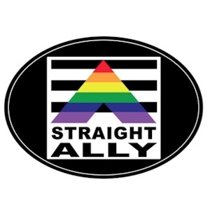 Straight Ally Oval Rainbow Magnet - Gay Pride Supp...