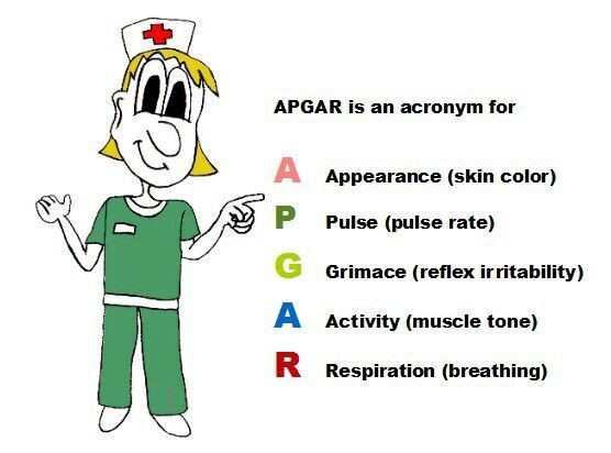 Learn APGAR and how to pass NCLEX with NCLEX quest...