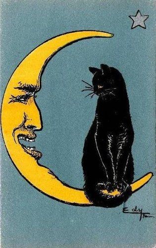 Le #CHAT et la lune par Edy | #cat and #moon