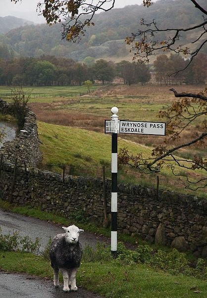 So typical of the Lake District England - Beautifu...