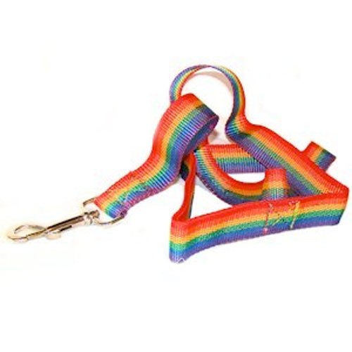 4' Foot - Gay Pride Rainbow Dog Leash - LGBT G...