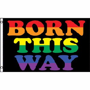 Born This Way - LGBT Flag - Gay Flag / Rainbow Fla...