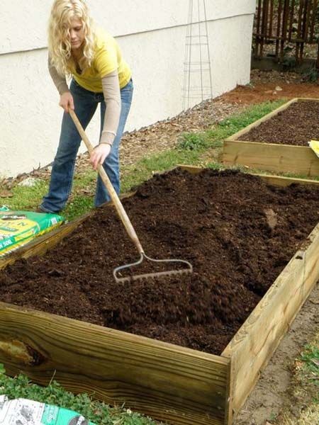 How to Build a Super Easy Raised Bed Our veggie ga...