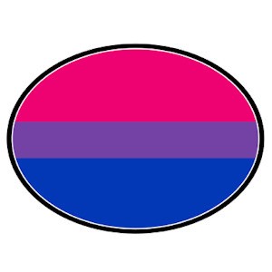 Bisexual Flag - LGBT Bi Pride - Oval Car Magnet