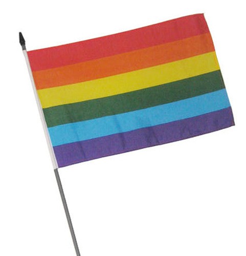 Rainbow Flag / Gay Pride Mini Hand Flag - LGBT Gay...