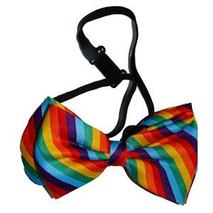 Gay Pride Rainbow Bow Tie - LGBT Gay and Lesbian P...