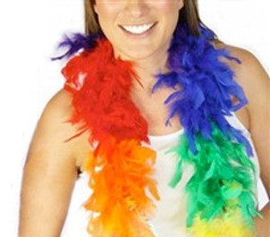 Rainbow Feather Boa (6 feet) - LGBT Gay and Lesbia...