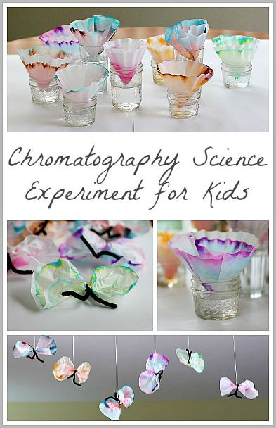 Science for Kids: Chromatography Butterfly Craft