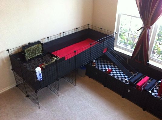 Cool Guinea Pig Cage